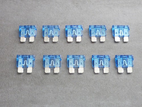 50st kfz sicherungen - 50st.,